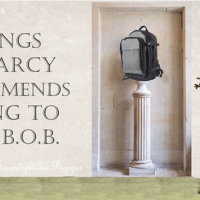 10+ Things Mr. Darcy Recommends Adding to Your B.O.B.