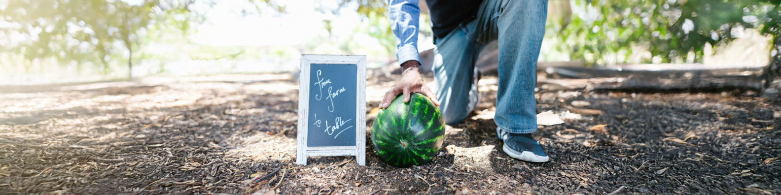 10 Things a Prepper Does Come Harvest Time!