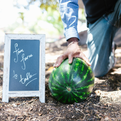 10 Things a Prepper Does Come Harvest Time!