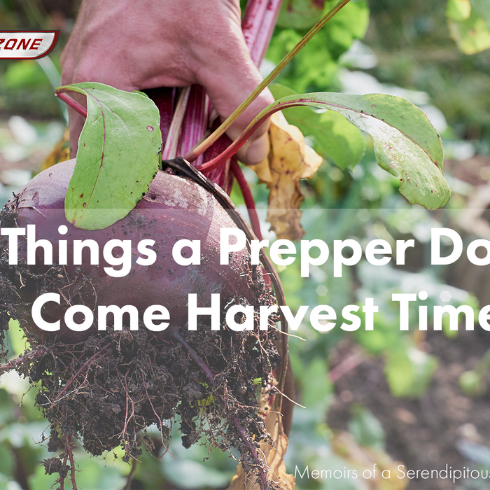 10 Things a Prepper Does Come Harvest Time!