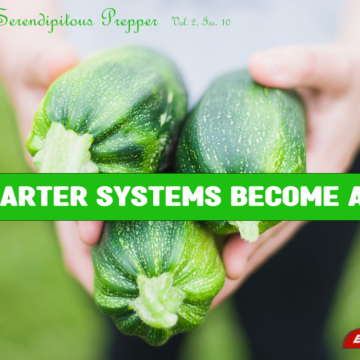 Will Barter Systems Become a Thing?
