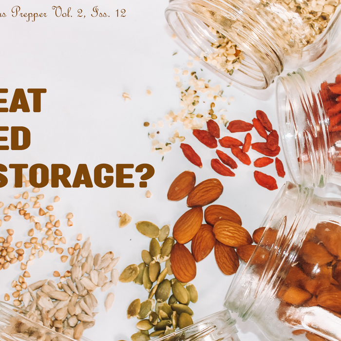 Can I Eat Expired Food Storage?