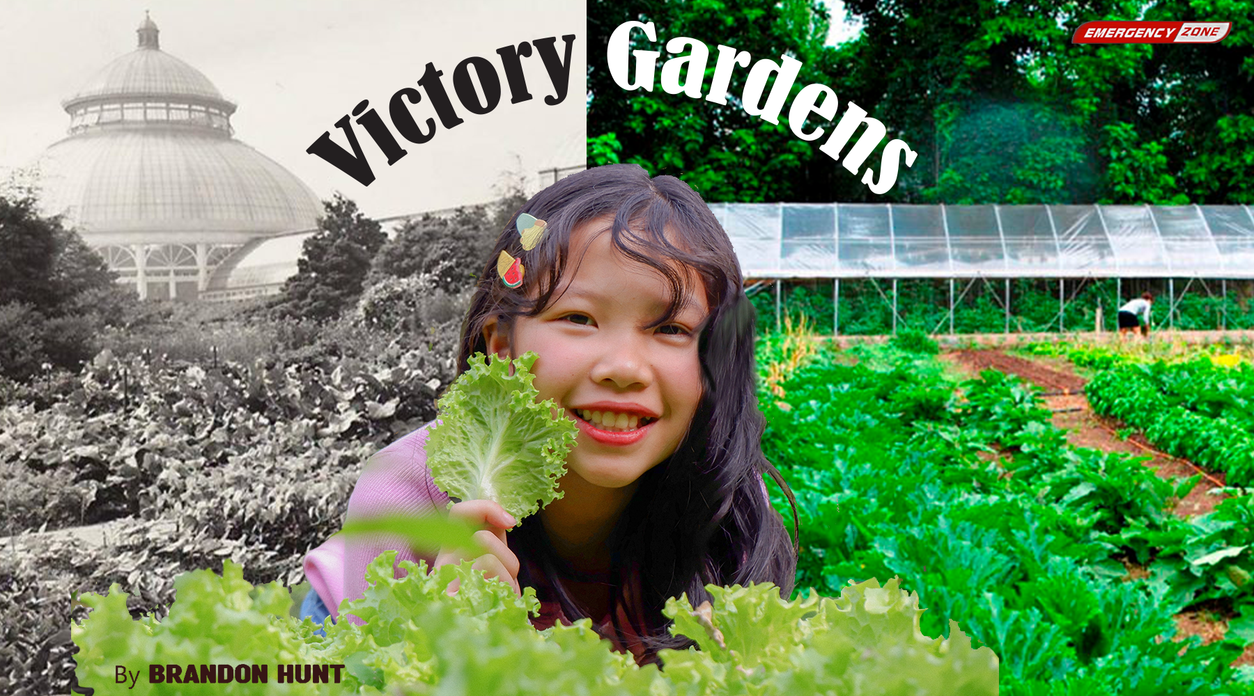 The Victory Garden: A Sensible Way to Grow Your Own Survival Food