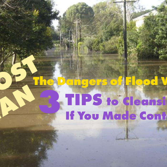 POST IAN - The Dangers of Flood Waters & 3 Tips to Cleansing if You Made Contact!