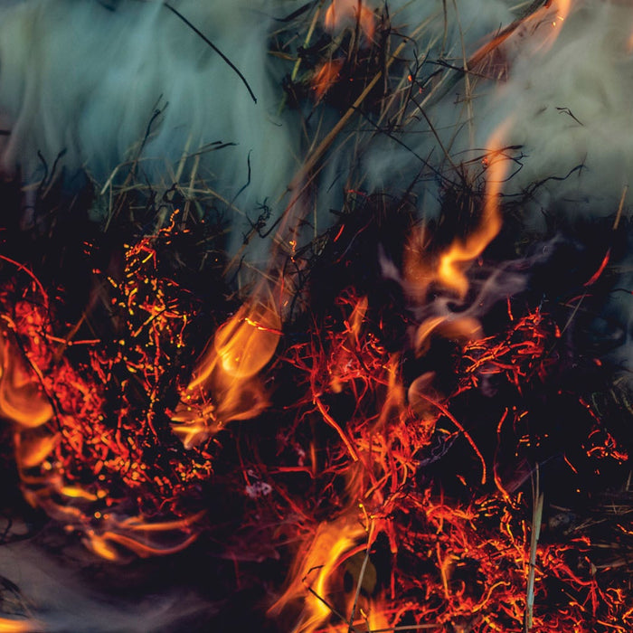 11 Dead as Fires Continue to Ravage California