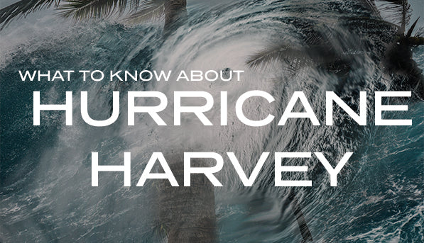 What to Know About Hurricane Harvey