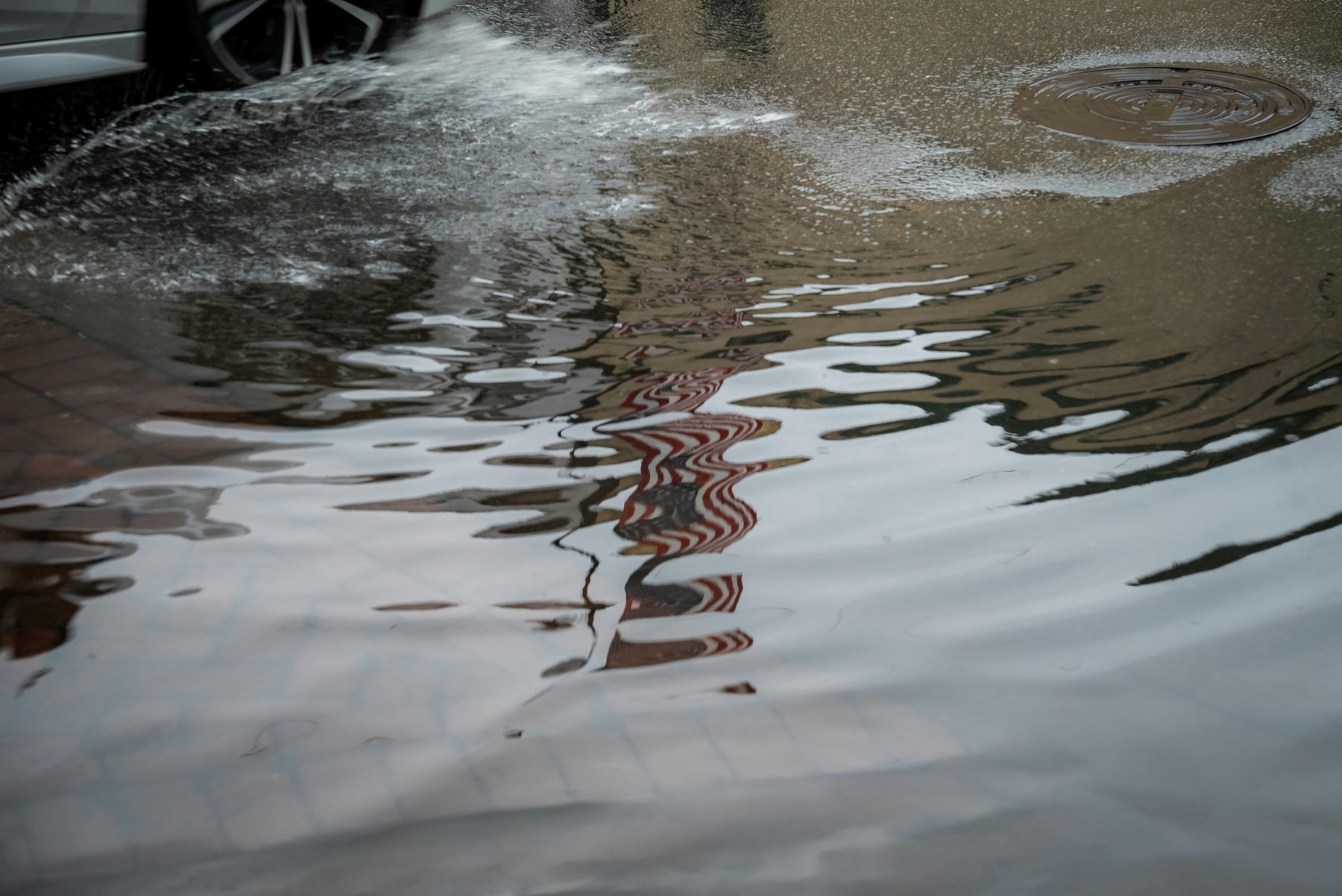 POST IAN - The Dangers of Flood Waters & 3 Tips to Cleansing if You Made Contact!