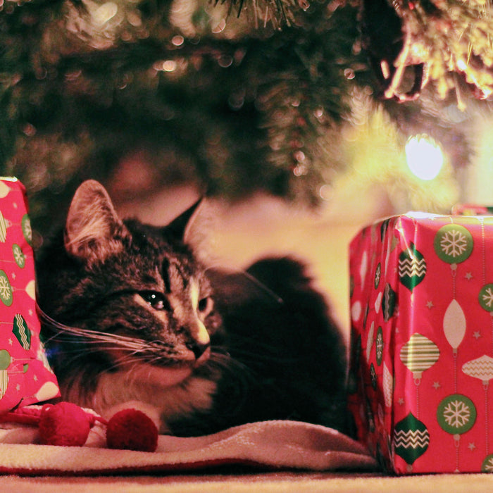 10 Gifts for your Prepper Loved Ones