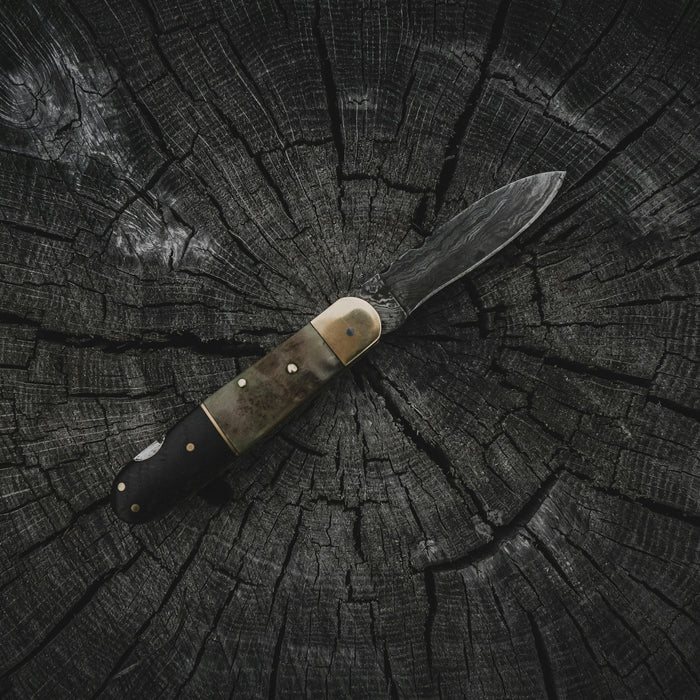 How to Pick A Survival Knife for Beginners