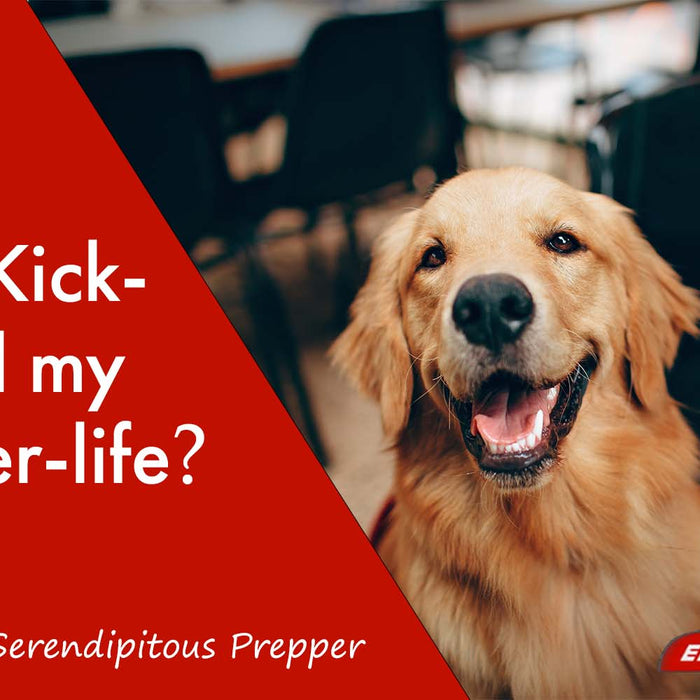 What Kickstarted my Prepper-life?