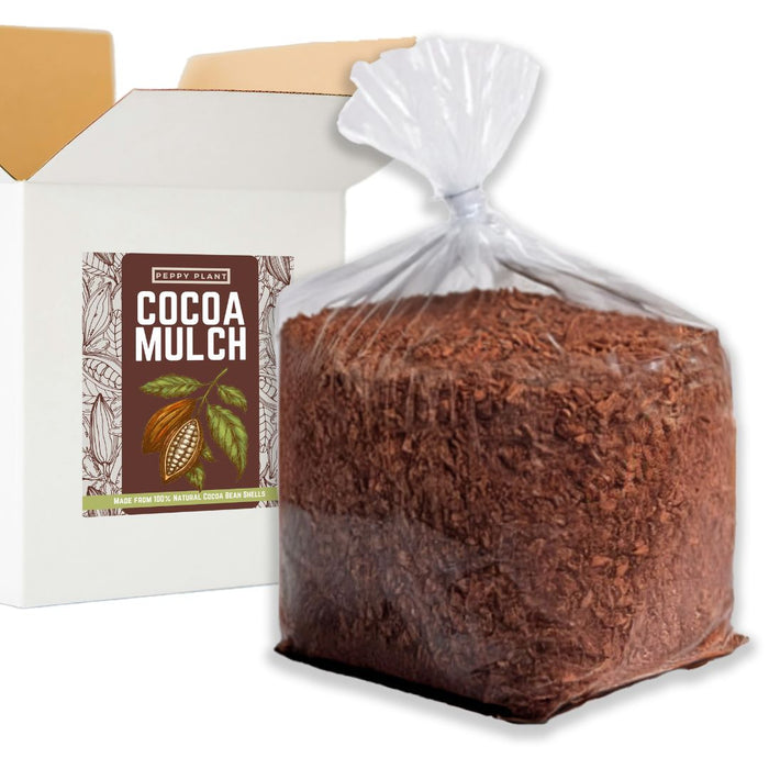 Cocoa Mulch