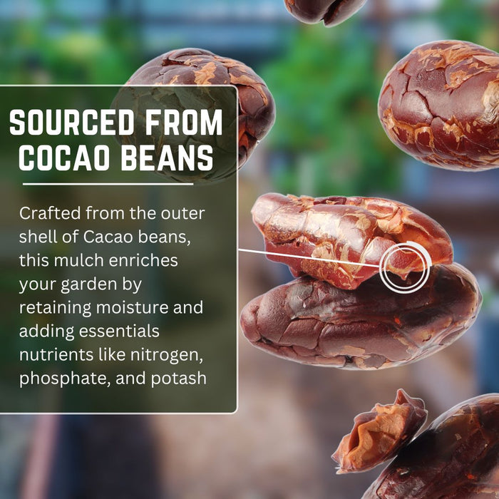 Cocoa Mulch