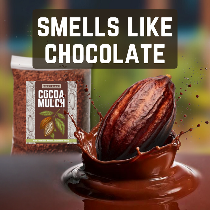 Cocoa Mulch