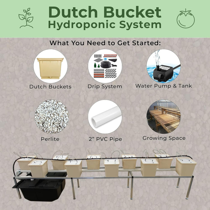 Dutch Buckets