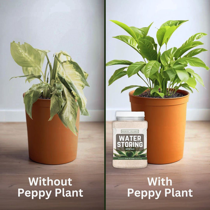 Water Storing Crystals